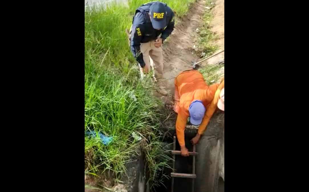 Desaparecido há 8 dias idoso é encontrado dentro de bueiro Ivan