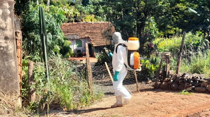 Agentes De Endemias Intensificam Esfor Os No Combate Dengue Em