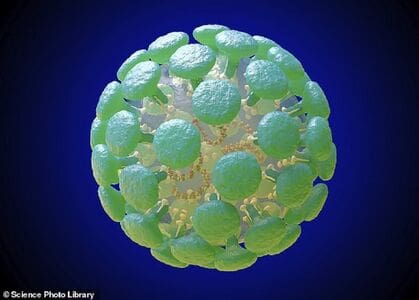 novos casos coronavírus