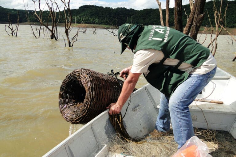 Período da piracema começa neste domingo e vai até fevereiro