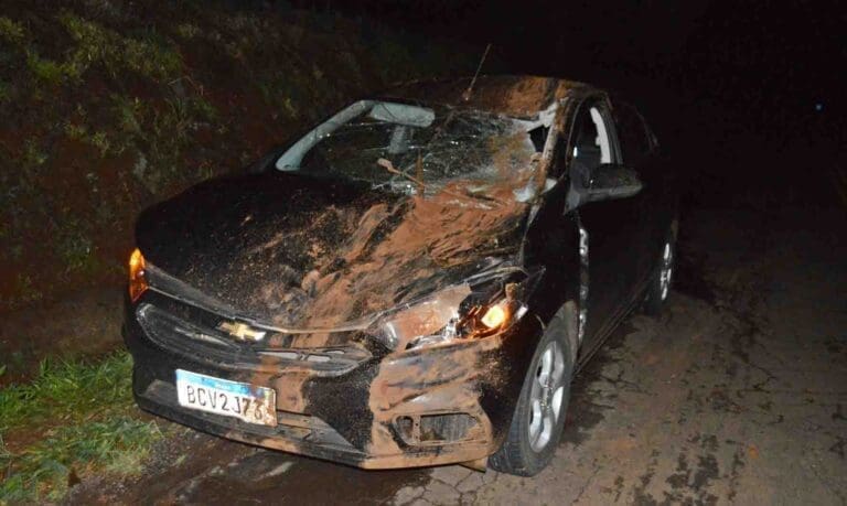 Carro atropela cavalo em Borrazópolis