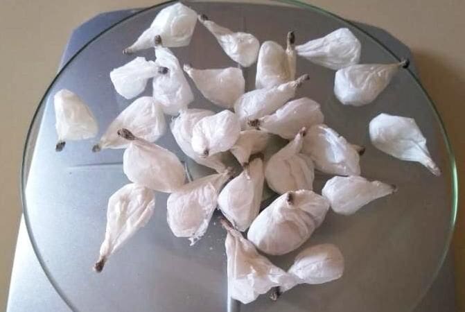 PM apreende 24 buchas de cocaína em casa de suspeito