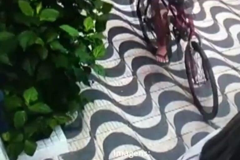 Ladrão usa bicicleta para roubar celular