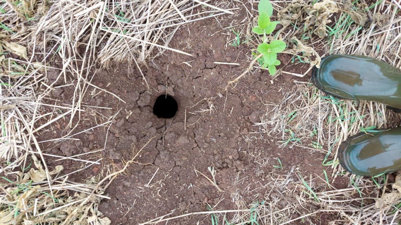 Raio cai em lavoura de soja e faz buraco com quase 3 metros de profundidade