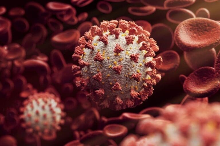 ardim Alegre registra no sábado (23/01) mais cinco casos de Covid-19