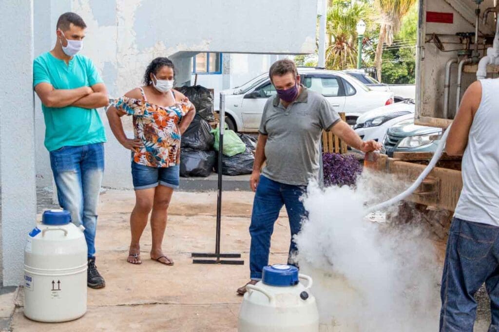 Secretaria da Agricultura de Jardim Alegre retoma inseminação artificial de bovinos