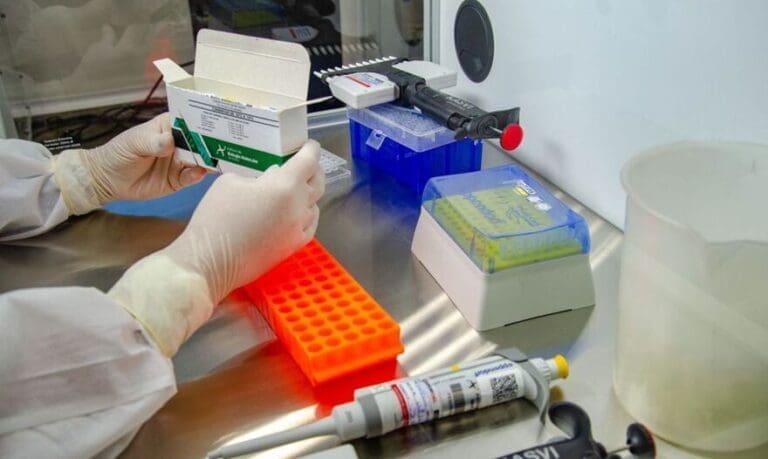 Jardim Alegre tem mais dois casos positivos de Covid-19