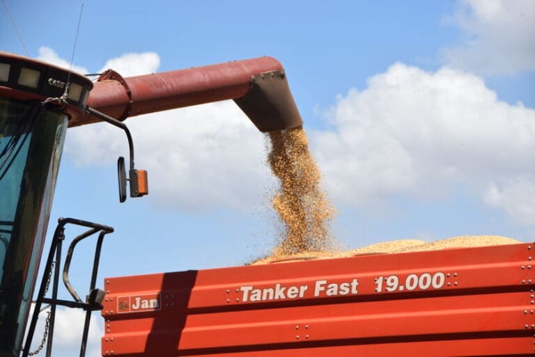 Ladrões furtam soja em propriedade rural da região