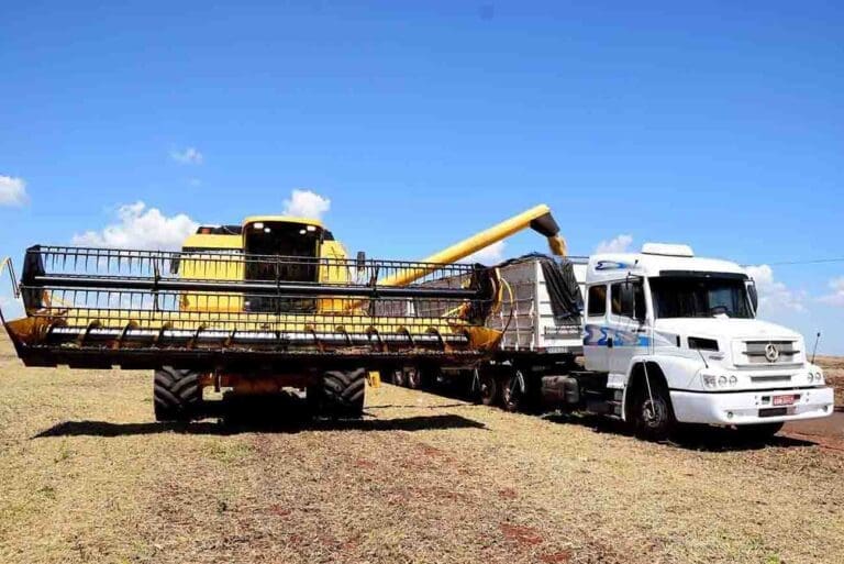 Região de Ivaiporã deve colher mais de 10 milhões de sacas de soja