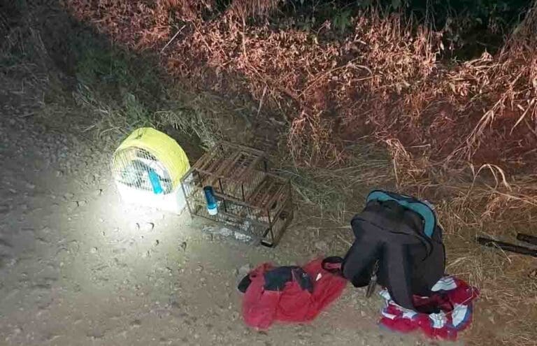 Homem é preso por caçar aves nativas em Lunardelli