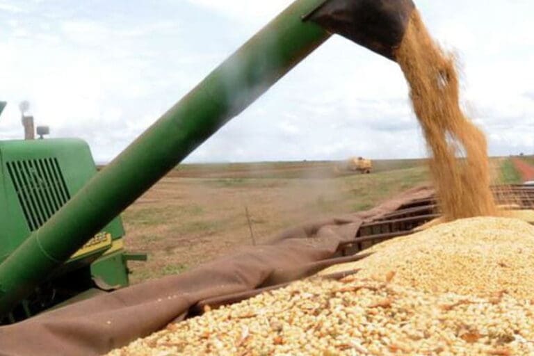 PM prende suspeitos de furto de soja em Arapuã