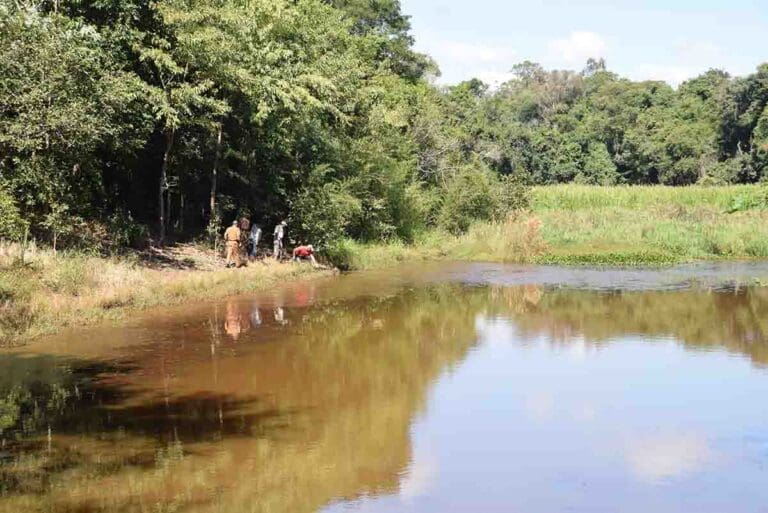Cadáver é encontrado boiando em represa, em Ivaiporã