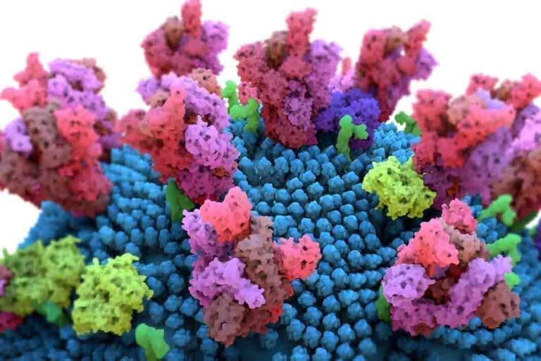 Homem de 75 anos é vítima da Covid-19 em Ivaiporã