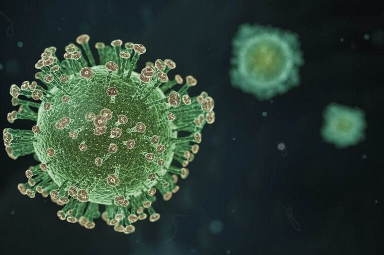 novos casos de Covid-19 e o 63º óbito