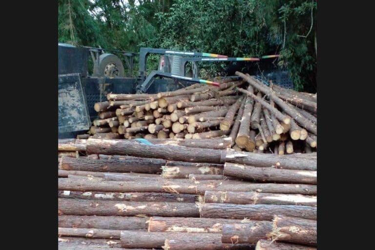 Caminhão tomba sobre carro na PR-466, uma pessoa morreu