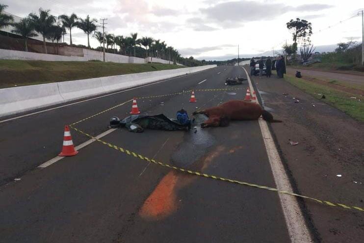 Motociclista morre após atropelar cavalo na PR-445