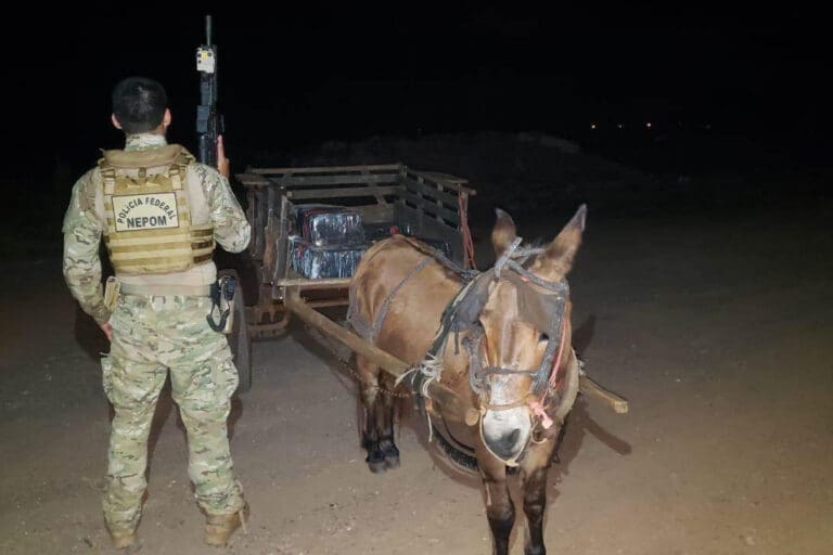 Policiais apreendem carroça puxada por burro com 300 quilos de maconha