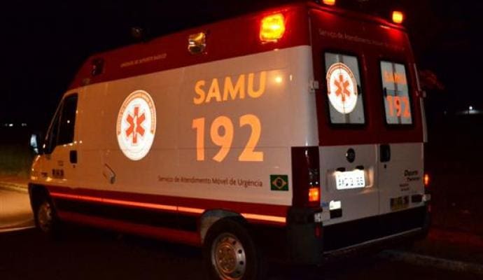 Homem e cavalo morrem atropelados por caminhão na PR-272