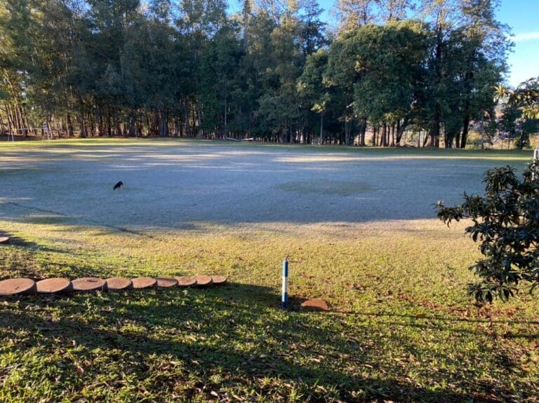 Geada atinge lavouras na região de Ivaiporã