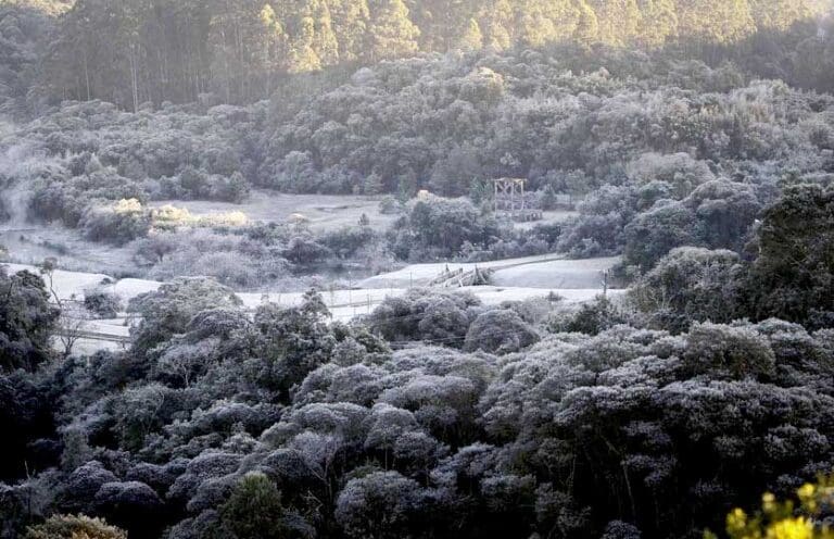 Geada Negra não está descartada na região
