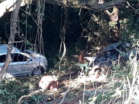 Dois carros saem da pista no mesmo lugar na PR-541