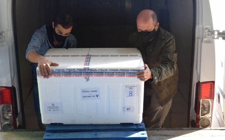 chegam ao Paraná nesta quinta-feira