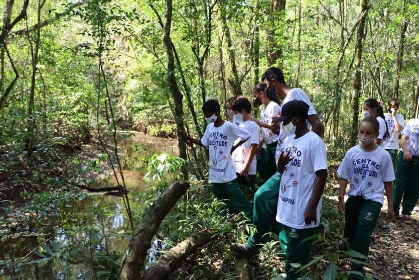 Crianças dos projetos sociais conhecem a Estação Ecológica Faian