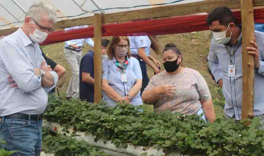 Agricultura familiar do Vale do Ivaí ganha impulso com apoio do Governo do Estado