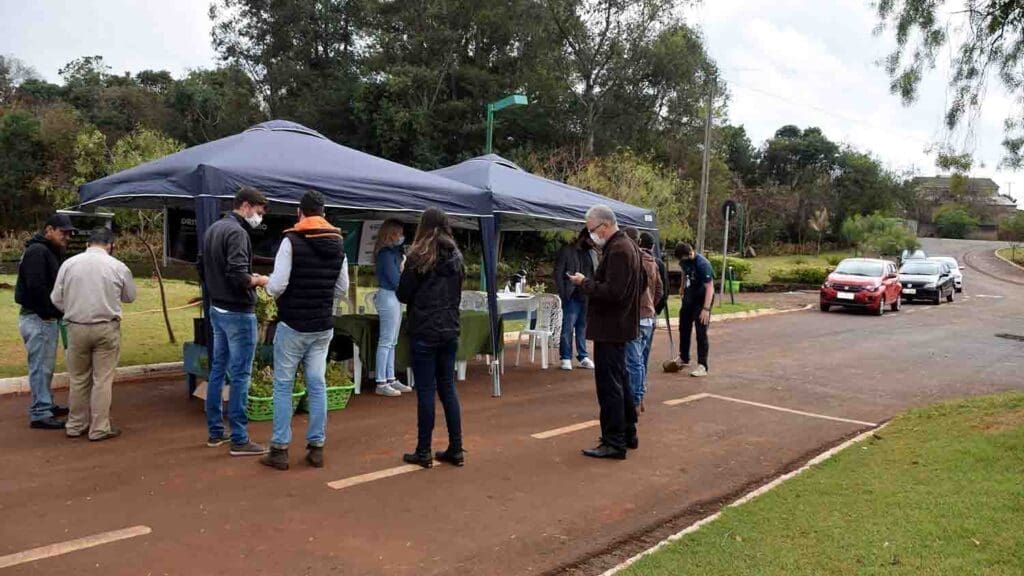 IAT distribui mudas nativas em Ivaipora em troca de doações