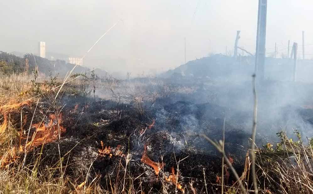 Homem é preso após atear fogo em mata próximo a residências em Ivaiporã