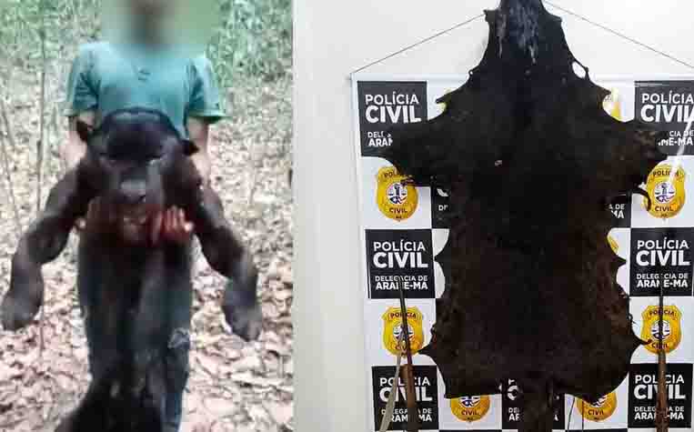 Homem é preso após matar onça-preta ameaçada de extinção