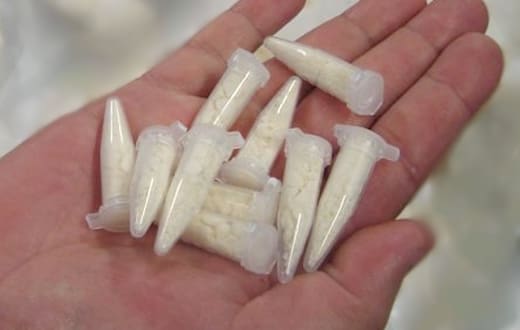 Cocaína