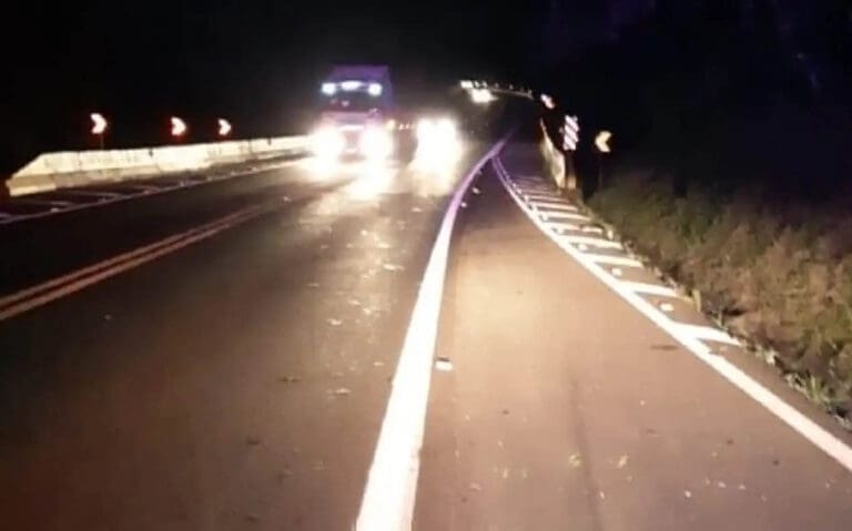 atropelamento indígenas