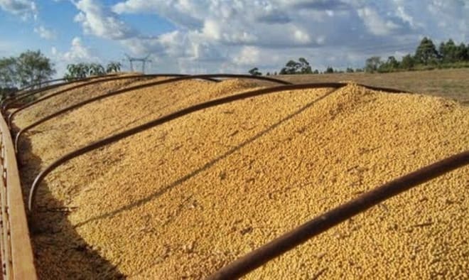 Caminhoneiro carga roubada