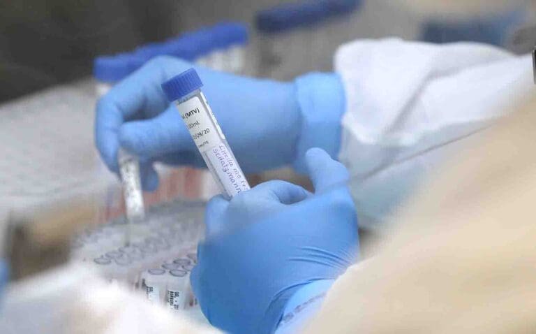 H3N2