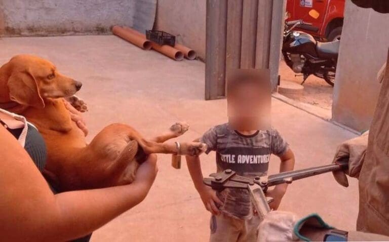 Menino prende cadeado na pata de cachorro