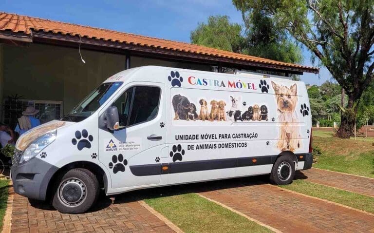 Castração cães e gatos