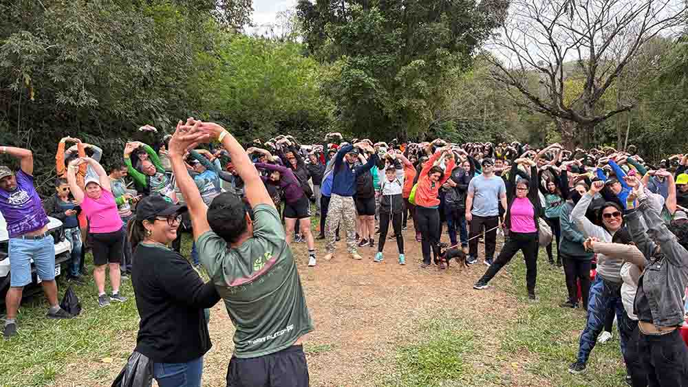 18686fec-cb04-40af-a79e-ceed608db0ad