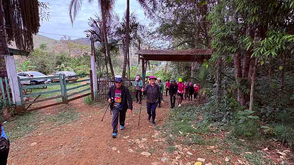 33dc33e3-3c99-44ed-8cb1-95b25ff41afe