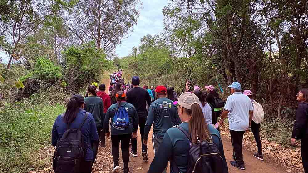 a60ead52-9160-4585-90ba-fdf8353db115