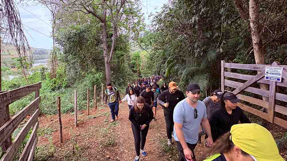 ea3d75a0-2904-4a00-8cb0-2158da97e795