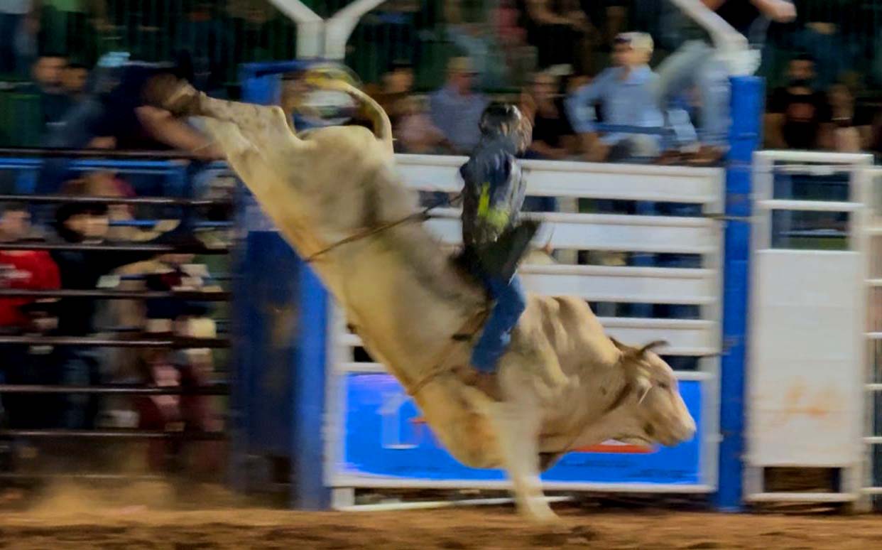 0b03ecbc-d025-4029-b84c-520bc621ed05