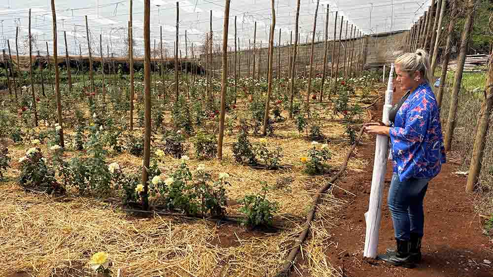 1f2f69e7-1709-463a-8bcd-77910e6aaf9e