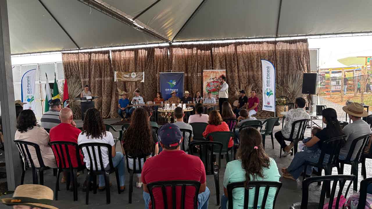 212493ed-ca2f-4b00-a2b3-666fba5b55d9