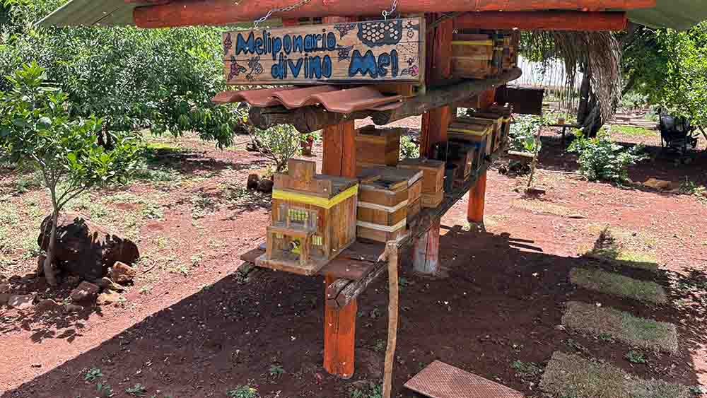 a3fc4e1b-9a6b-466b-92e7-8a3e0da85560