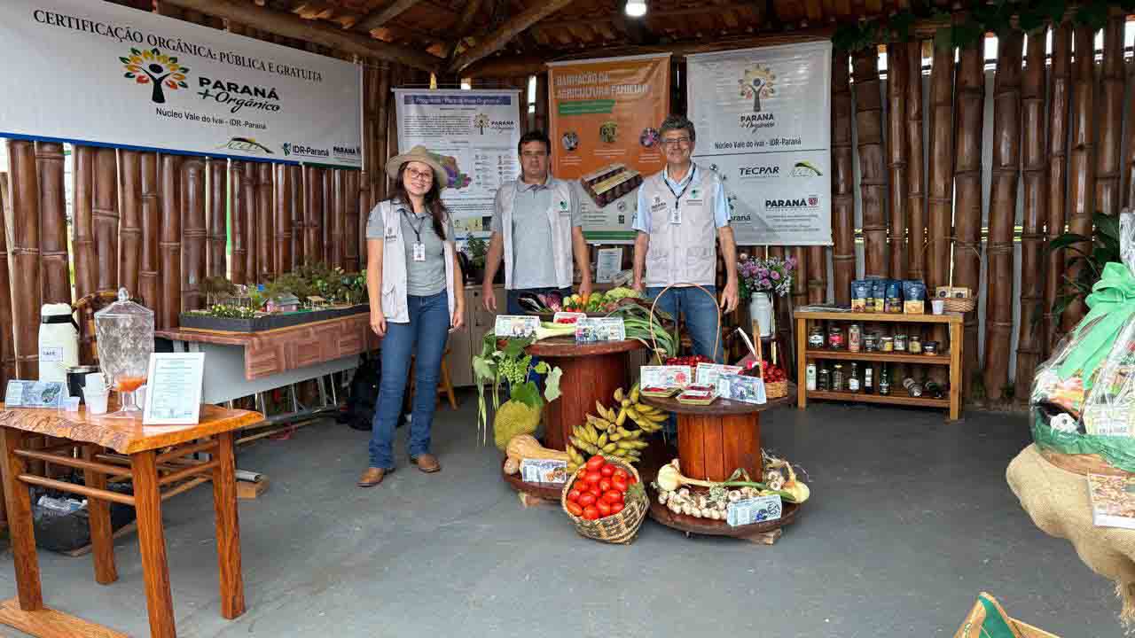 b2e97b06-f322-42ff-8076-9cd684c84db8