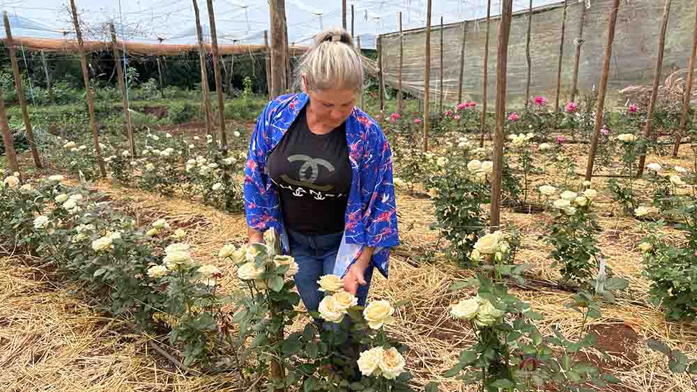 be4cfbe1-c137-4891-a9bf-141941d20cb2