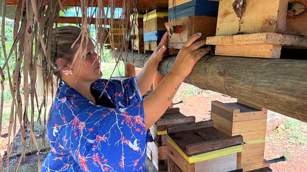 fd7438e2-70bc-44f1-b8fd-bcd386f8750e