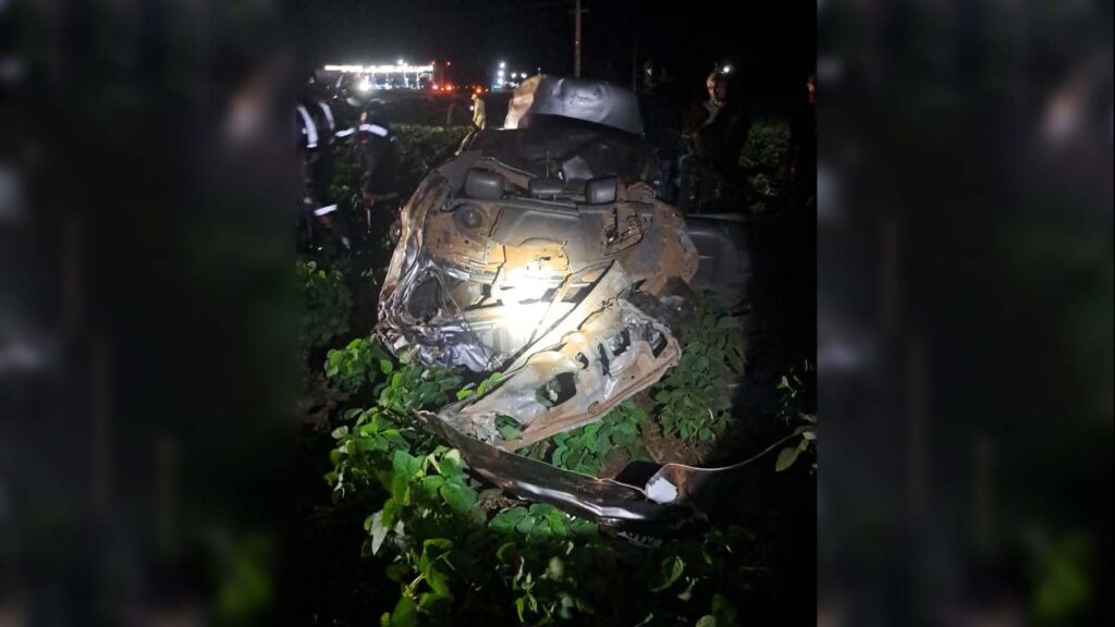 73b0897e 5cc6 4dd8 982b 2b1b54793f8c