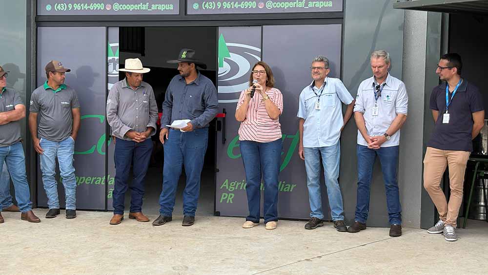 896c3c37-cc21-42aa-af8d-ae7eaf811de0